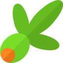 aceituna icon