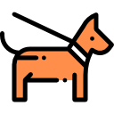 mascota icon