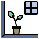 Вид 