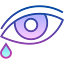 ojo icon