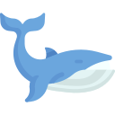 ballena icon