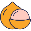 macadamia icon