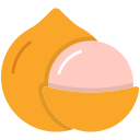 macadamia icon