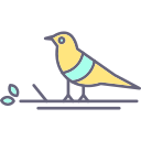 pájaro icon