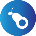 palta icon