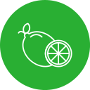 limón icon