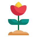 잎 icon