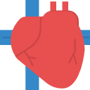 corazón icon