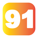 91