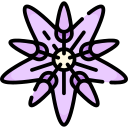 serralha 
