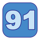 91