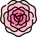 rosa 