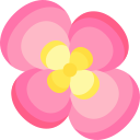 begônia 