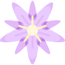 serralha 