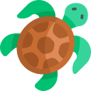 tortuga