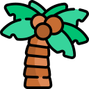 palmera icon