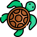 tortuga