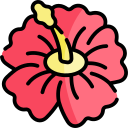 hibisco icon