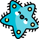 estrella de mar icon