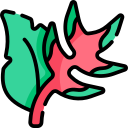 heliconia icon