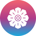 hibisco icon