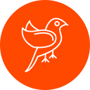 pájaro icon