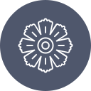 hibisco icon