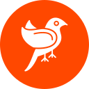 pájaro icon