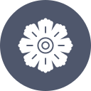 hibisco icon