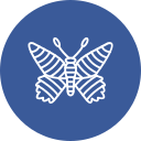 mariposa icon