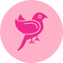 pájaro icon