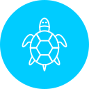 tortuga icon