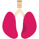 pulmones