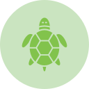 tortuga icon