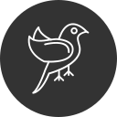 pájaro icon