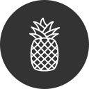 piña icon