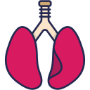 pulmones 