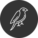 pájaro icon