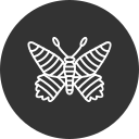 mariposa icon