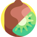 kiwi icon