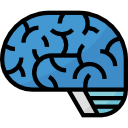 cerebro icon