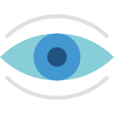 ojo icon