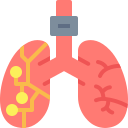 pulmones icon