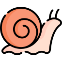 caracol icon