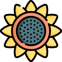 girasol