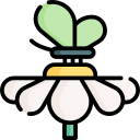 mariposa icon