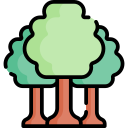 bosque icon