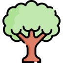 Árbol icon