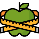 saludable icon