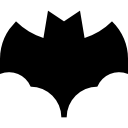 Bat icon